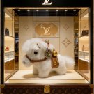 LV versatile accessories (352)