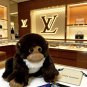 LV versatile accessories (445)