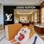 LV versatile accessories (474)