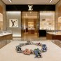 LV versatile accessories (526)