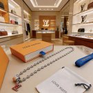 LV versatile accessories (533)
