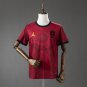 Brazil 2026 Concept Jersey Brown S-4XL