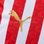 Chivas de Guadalajara 26 27 Home Jersey S-4XL