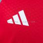 Internacional 26 27 Training - Red Jersey S-4XL