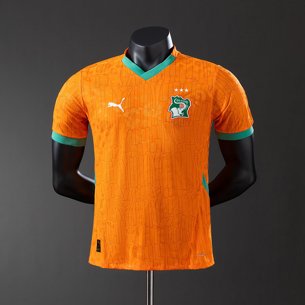 Ivory Coast 2025 Home Player Version Jersey S-3XL