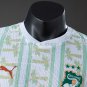 Ivory Coast 2026 Away Player Version Jersey S-2XL