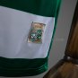 Palmeiras 25 26 Special Edition - White and Green Striped Jersey S-4XL