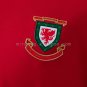 Wales 150th Anniversary Edition Long-Sleeve Jersey S-4XL