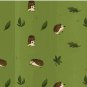 Hedgehog Garden Pals!  Pin