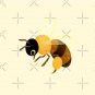 Honey bees Pin