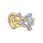 Human Inner Ear Anatomy Illustration Pin