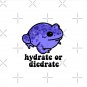 Hydrate or Diedrate Frog Pin