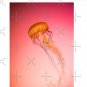 Jellyfish Pin