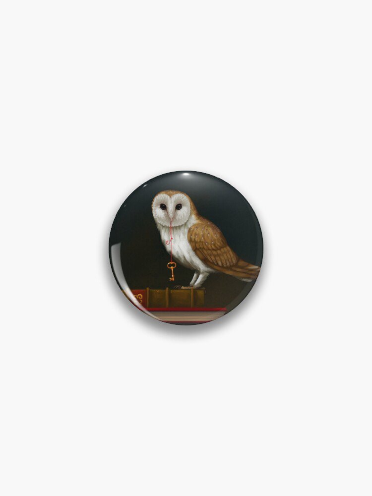 Key to Knowledge Pin