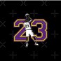 Lebron James 23 Pin