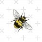 Lil Bee Pin