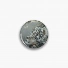 Lion in moonlight Pin