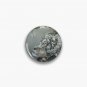 Lion in moonlight Pin