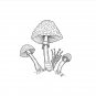 Nature Mushrooms Pin