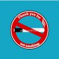 No Smoking Pin