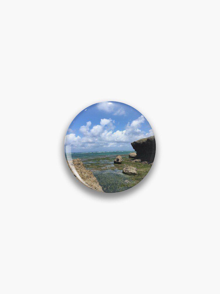 Okinawa travels Pin