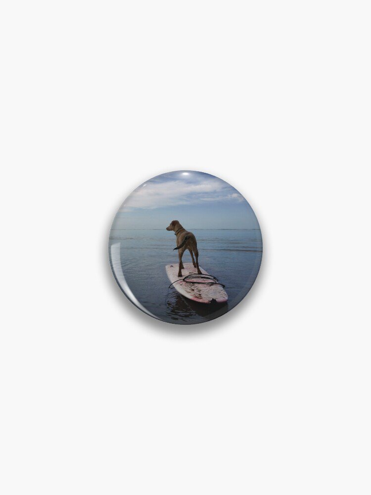 Owning the day Pin