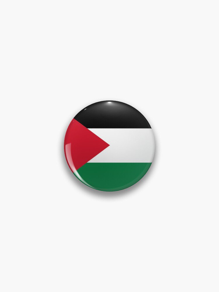 Palestinian Flag Pin