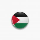 Palestinian Flag Pin