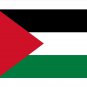 Palestinian Flag Pin