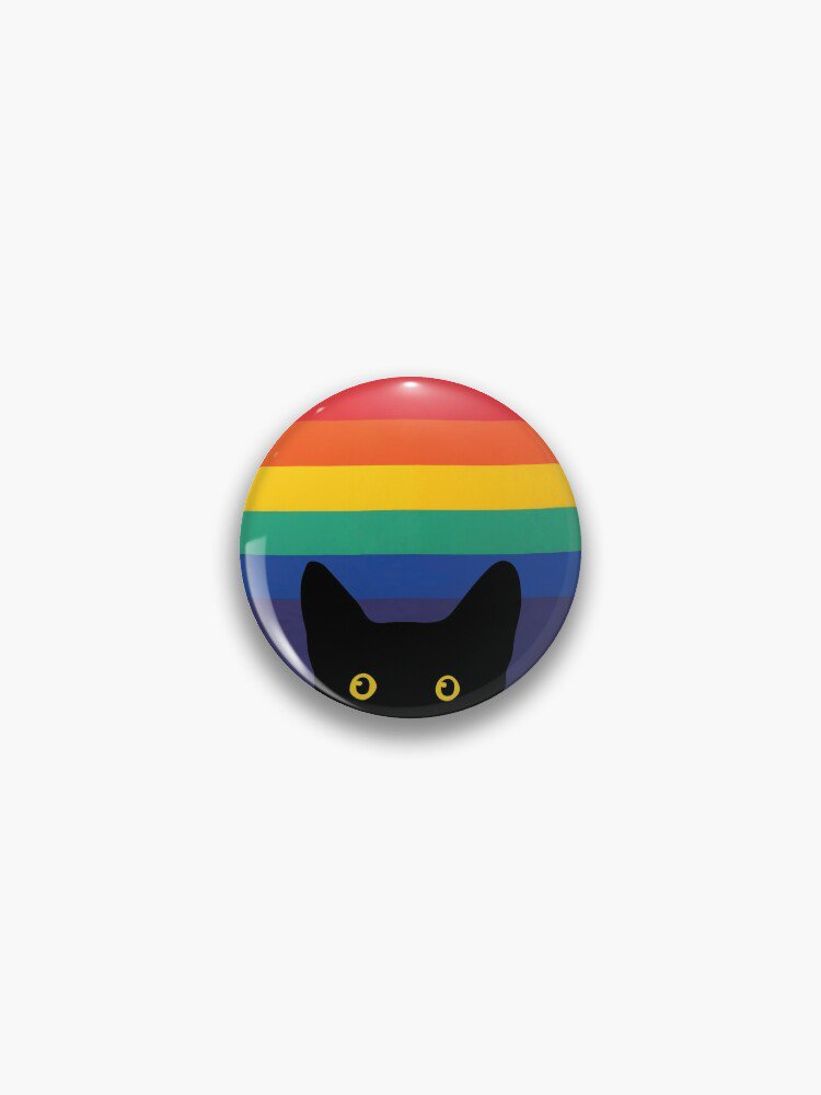 Peeking Cat in Rainbow Circle Pin