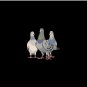 pigeon Pin
