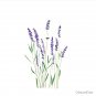 purple lavender  Pin