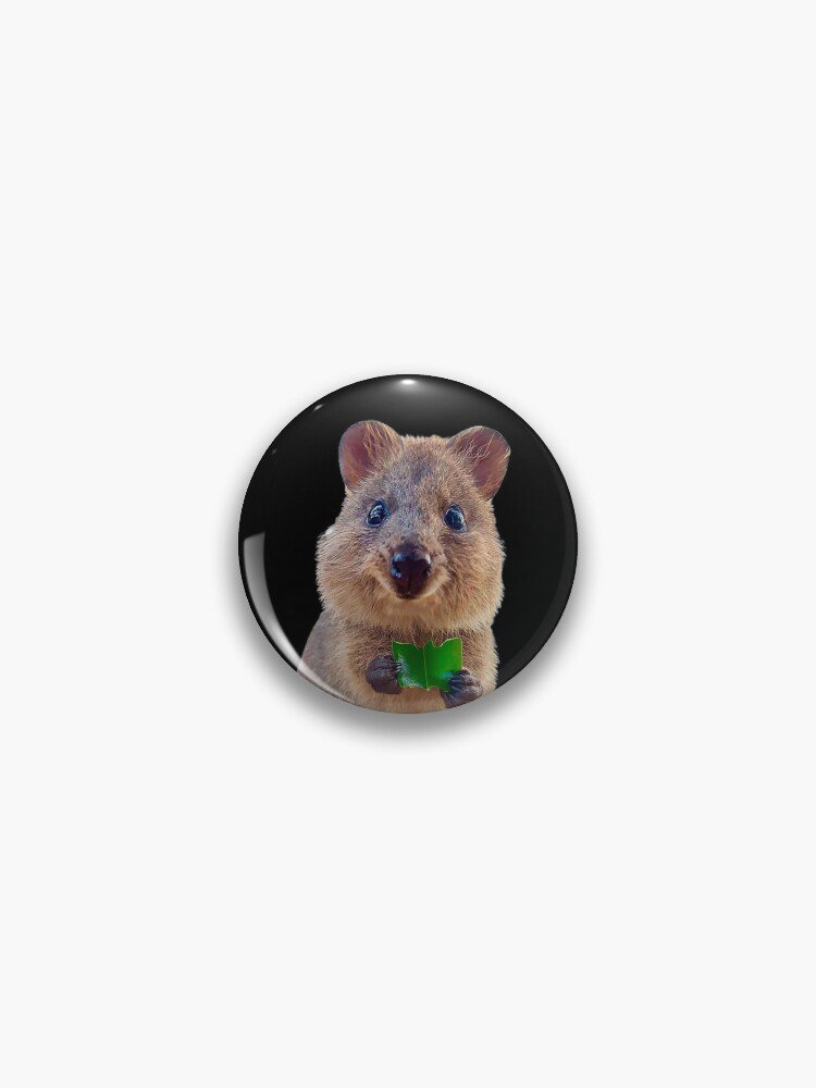 Quokka Pin