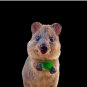 Quokka Pin