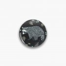 Raccoons!  Pin