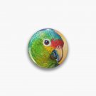 Red-Lored Amazon Pin