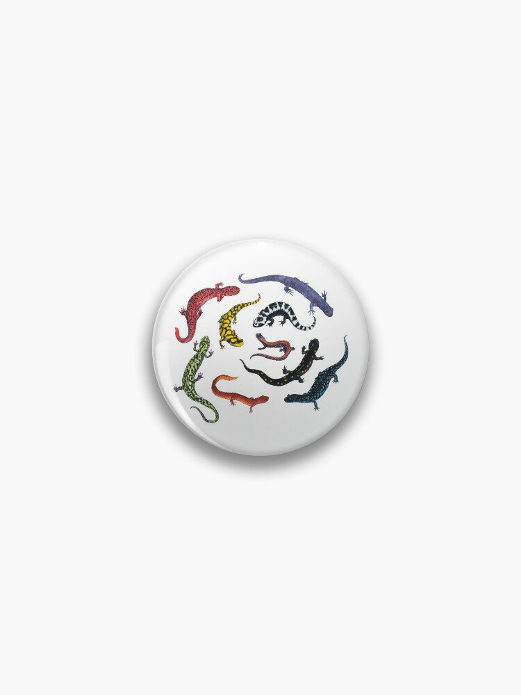 Salamanders Pin