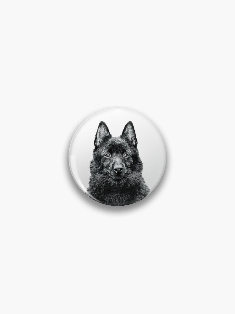 Schipperke Cute Black Dog Pin