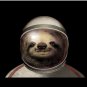 Space Sloth Pin