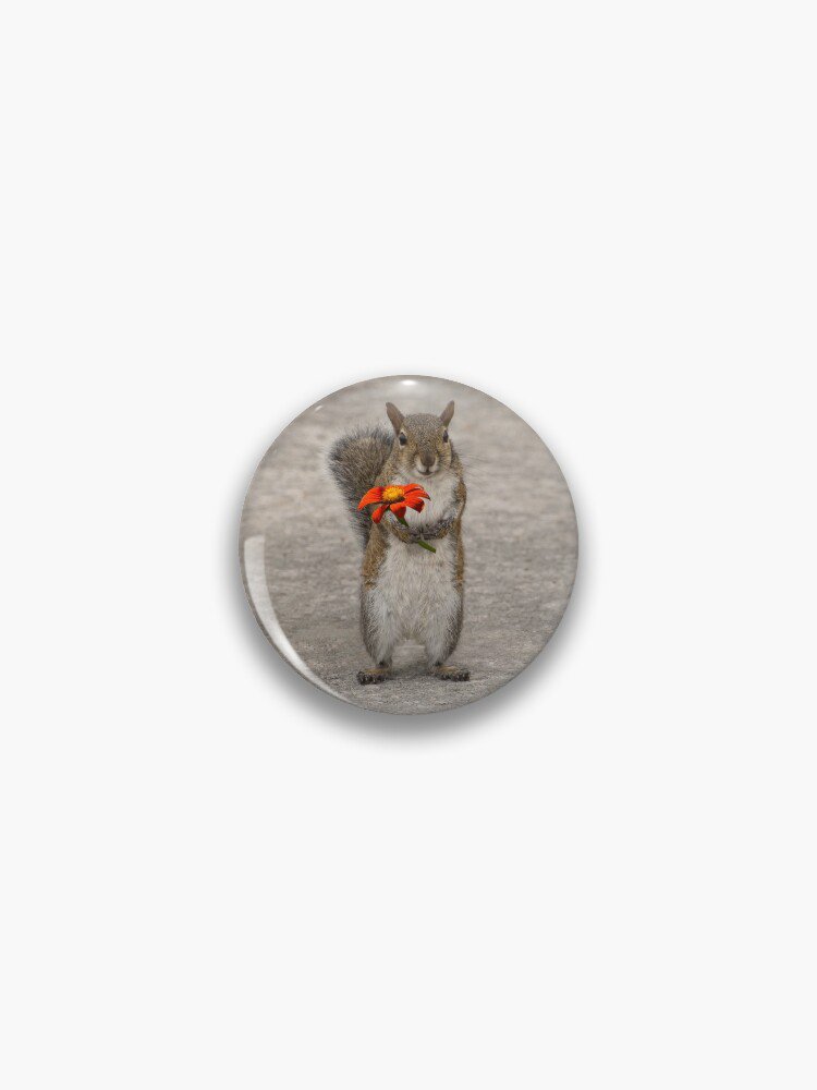 Special For You, Squirrel With Flower Pin