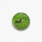 Spring at a Glance Pin