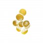 Staphylococcus aureus Pin