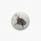 Study of Hare Pin