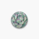 Succulent plant Pin