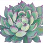 Succulent plant Pin