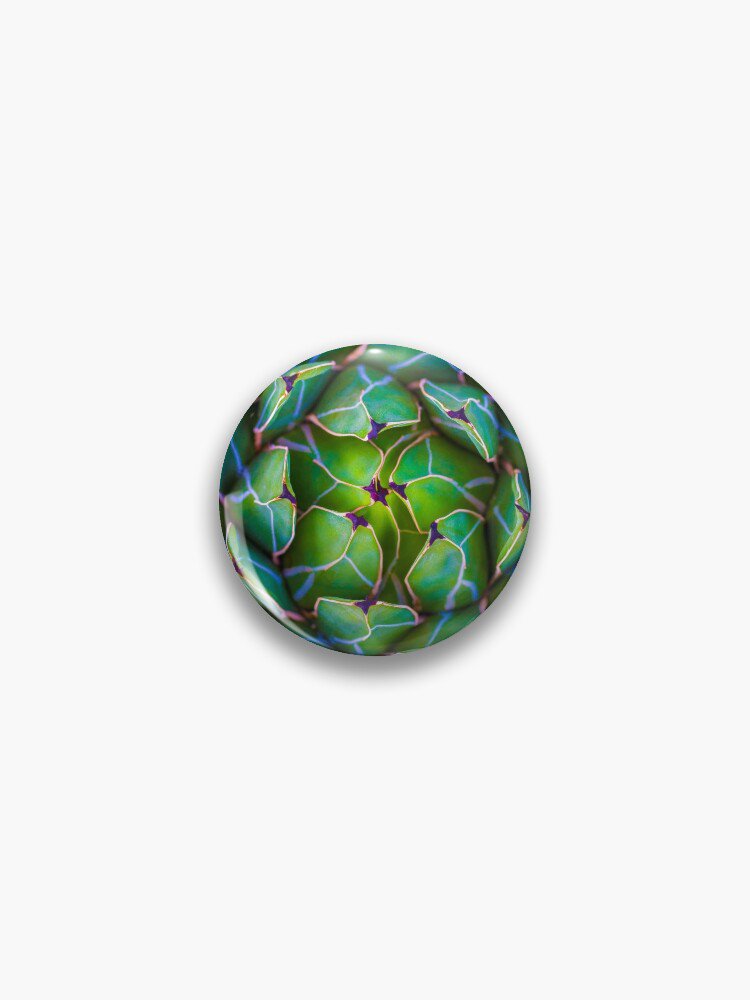 Succulent succulent Pin