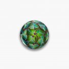 Succulent succulent Pin