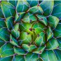 Succulent succulent Pin