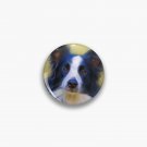 Taj - Border Collie Dog Painting Pin