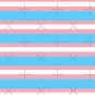 Be Gay Do Crime (T Flag2) Sleeveless Top